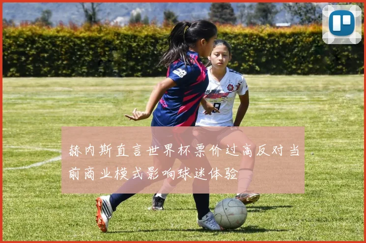 赫内斯直言世界杯票价过高反对当前商业模式影响球迷体验