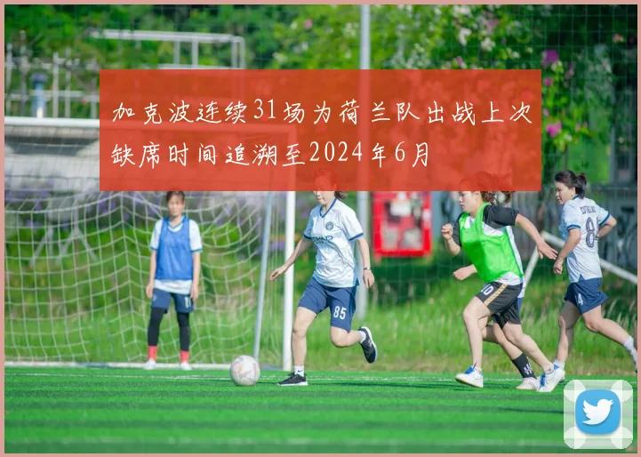 加克波连续31场为荷兰队出战上次缺席时间追溯至2024年6月